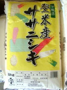 宮城県登米産 ササニシキ
