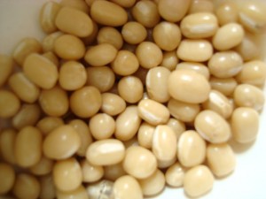 北海道産 白小豆