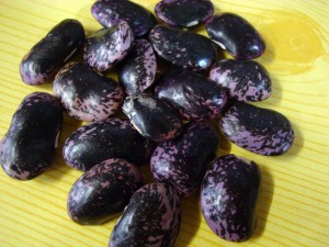 北海道産 紫花豆