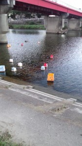 広瀬川の水面を流れる灯籠