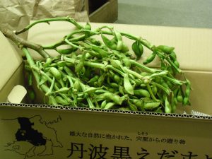 丹波黒豆の枝豆