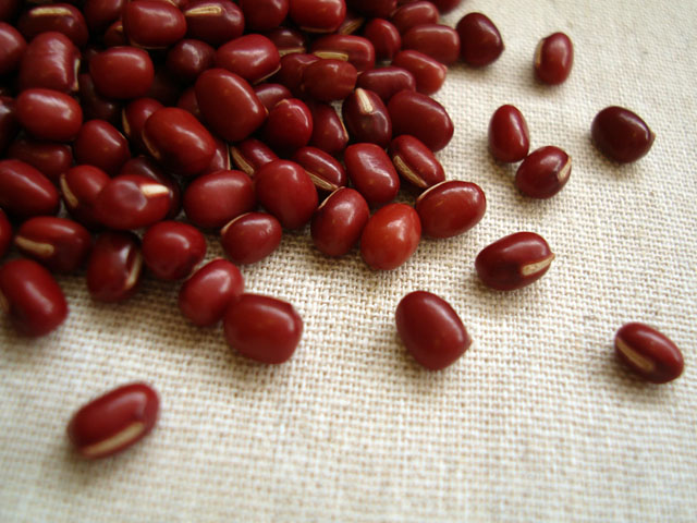 Azuki bean