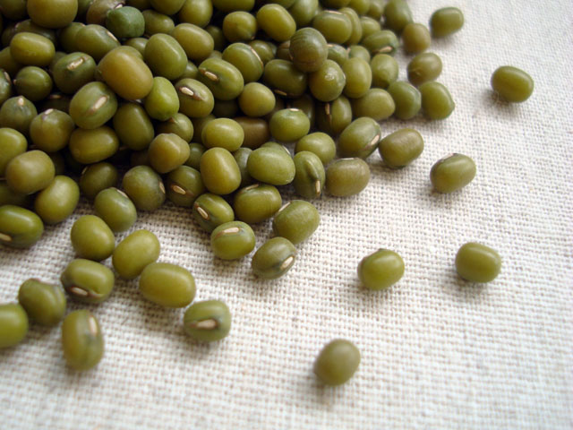 Mung bean