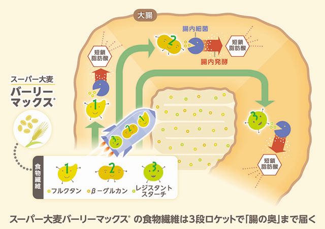 バーリーマックス